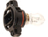 Fog Light Bulb 2504BP