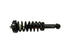 Strut/Coil Spring Assy 171141