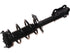Strut/Coil Spring Assy 2701-717842