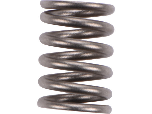 Exhaust Spring 2108-290553