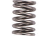 Exhaust Spring 2108-290553