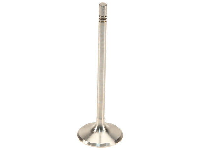 Exhaust Valve 300101