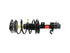 Strut/Coil Spring Assy 172378