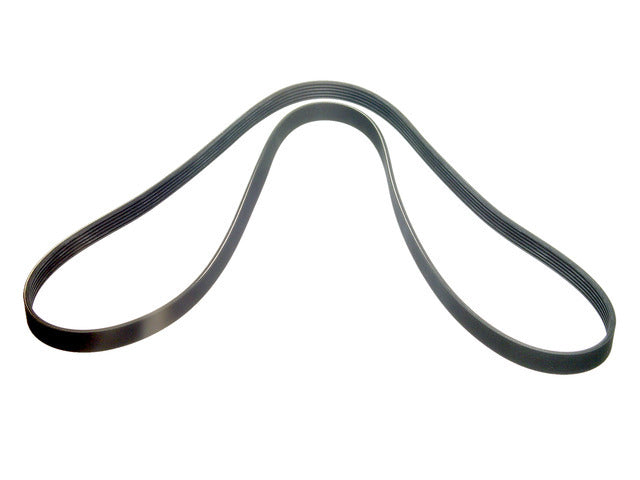 Drive Belt 6PK1905