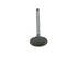 Intake Valve V94079
