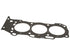 Cylinder Head Gasket 11116-0P020