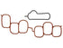 Intake Plenum Gasket MS19303