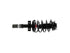 Strut/Coil Spring Assy SR4206
