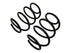 Coil Spring Set 81598