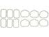 Intake Man. Gasket Set MS19879