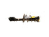 Strut/Coil Spring Assy SR4257