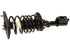 Strut/Coil Spring Assy 814015R