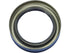 AT Extension Housing Seal 52119498AA