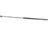 Hood Strut 033948