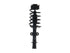 Strut/Coil Spring Assy 172780R