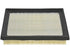 Air Filter 5000-287298
