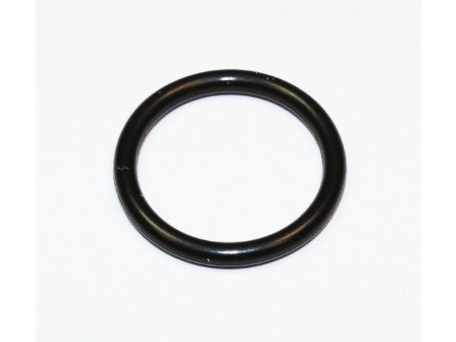 Camshaft Adjuster Seal 174.080