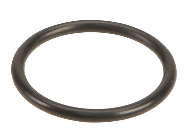 AT Filter O-Ring 1011494