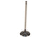Intake Valve EVN1-37020