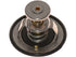 Thermostat 1601-423589