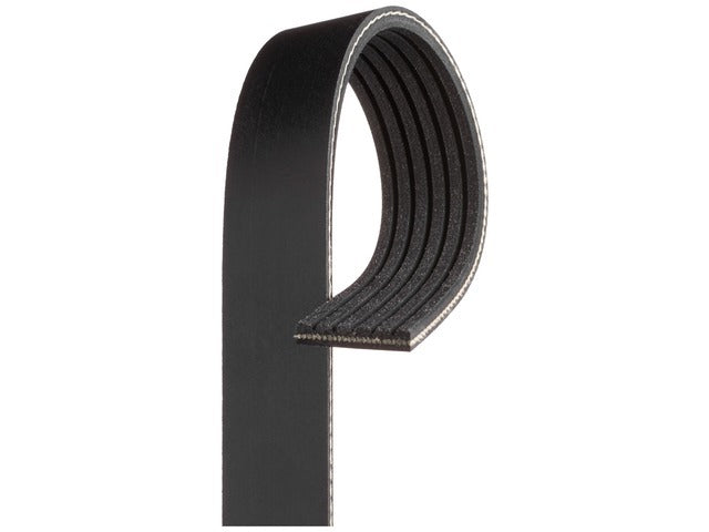 Drive Belt K060664A