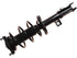 Strut/Coil Spring Assy 2701-717852
