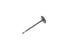 Intake Valve 05184127AC