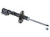 Strut Assembly 2701-248230