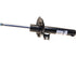Strut Assembly 317 330