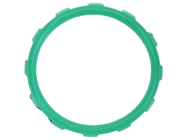 Thermostat Gasket 35971