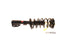 Strut/Coil Spring Assy SR4197