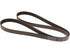 Drive Belt 31110-66V-A01
