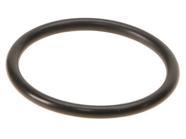Coolant Flange O-Ring 40-76097-00