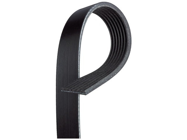Drive Belt 7K677