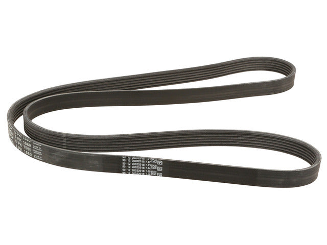 Drive Belt 6PK1560