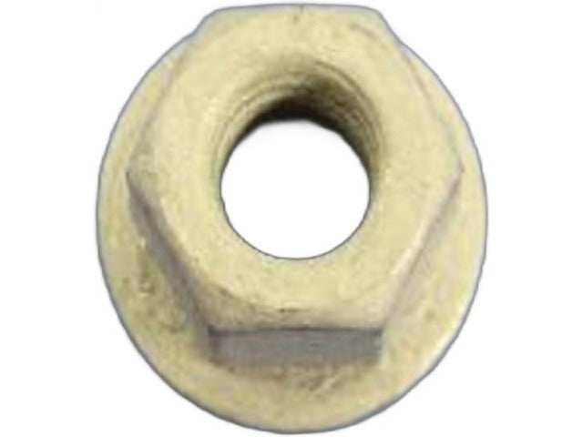Nut 06101736