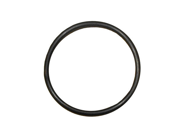 Thermostat Seal / O-Ring 16086000