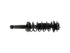Strut/Coil Spring Assy SR4512