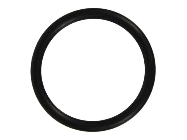 Water Outlet Gasket 36024
