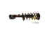 Strut/Coil Spring Assy SR4198