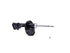 Strut Assembly 334506