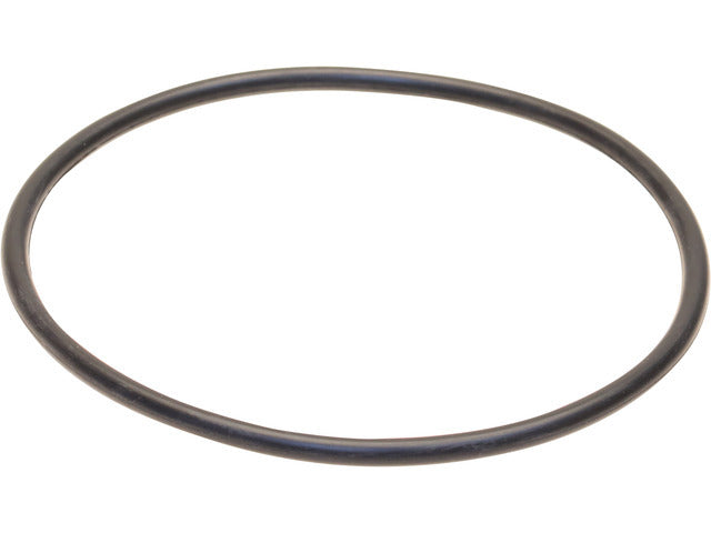 Oil Filter O-Ring AGA220007