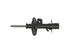 Strut Assembly 72947