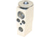 A/C Expansion Valve 2403-611967