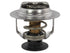 Thermostat RT-1255