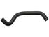 Radiator Hose 23154