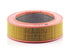 Air Filter C 30 122