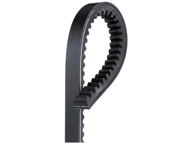 Drive Belt TR24438