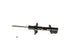 Strut Assembly 235913