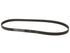 Drive Belt 6PK1130